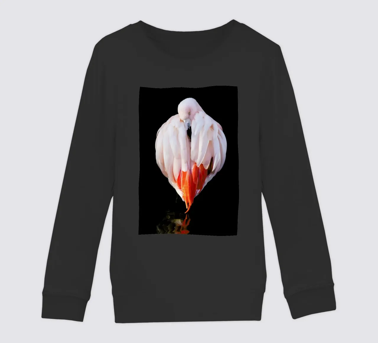 Flamingo in Reflection felpa bambino da Natural Kingdom