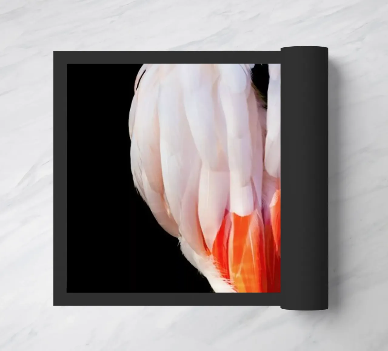 Flamingo in Reflection zerbino da Natural Kingdom