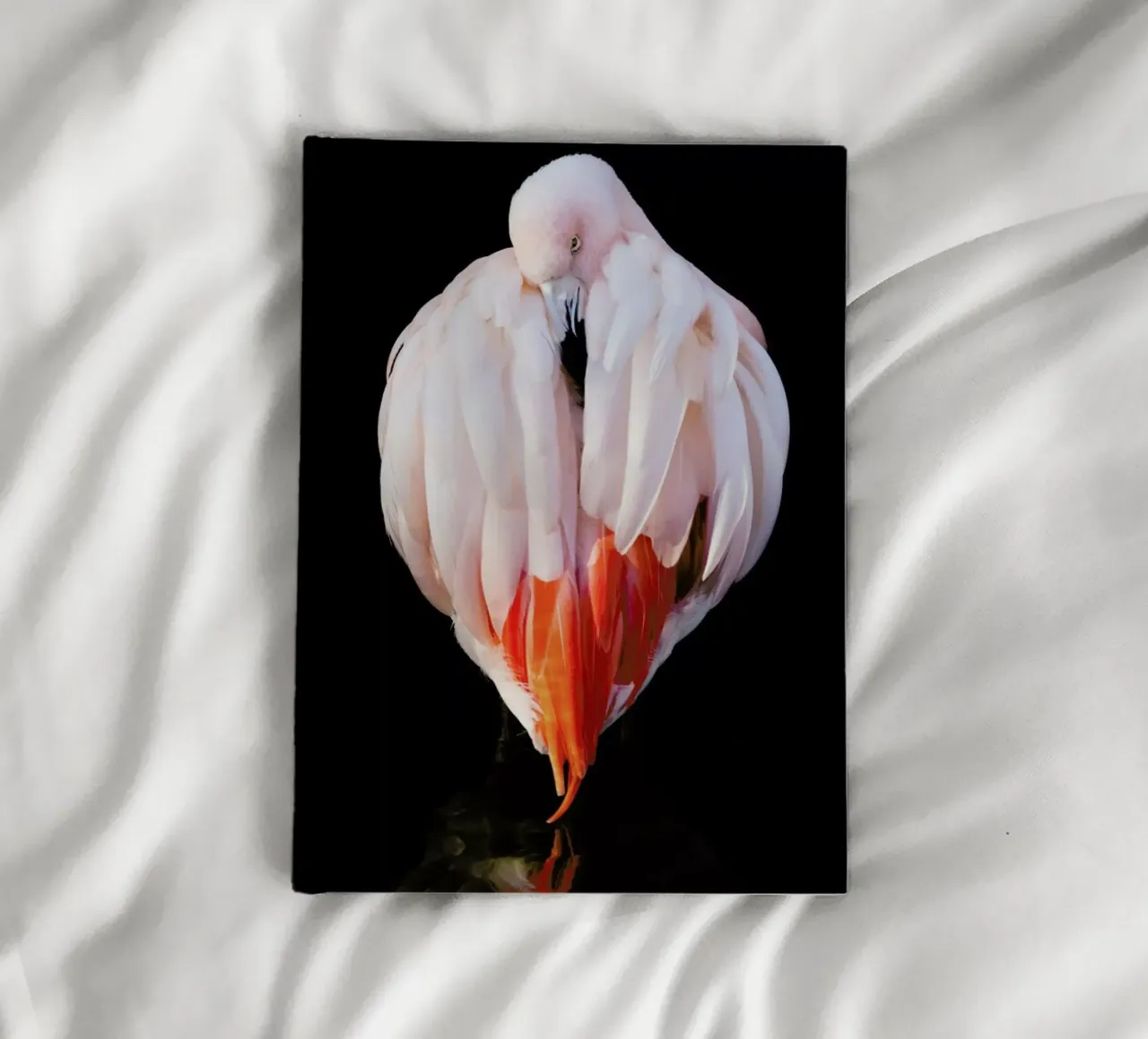 Flamingo in Reflection notebook by Natural Kingdom