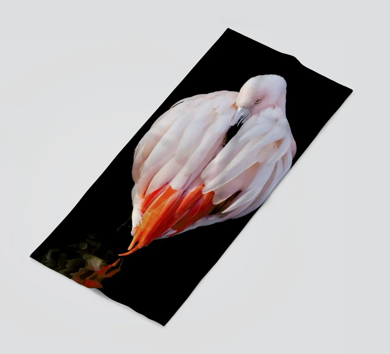 Flamingo in Reflection telo mare da Natural Kingdom