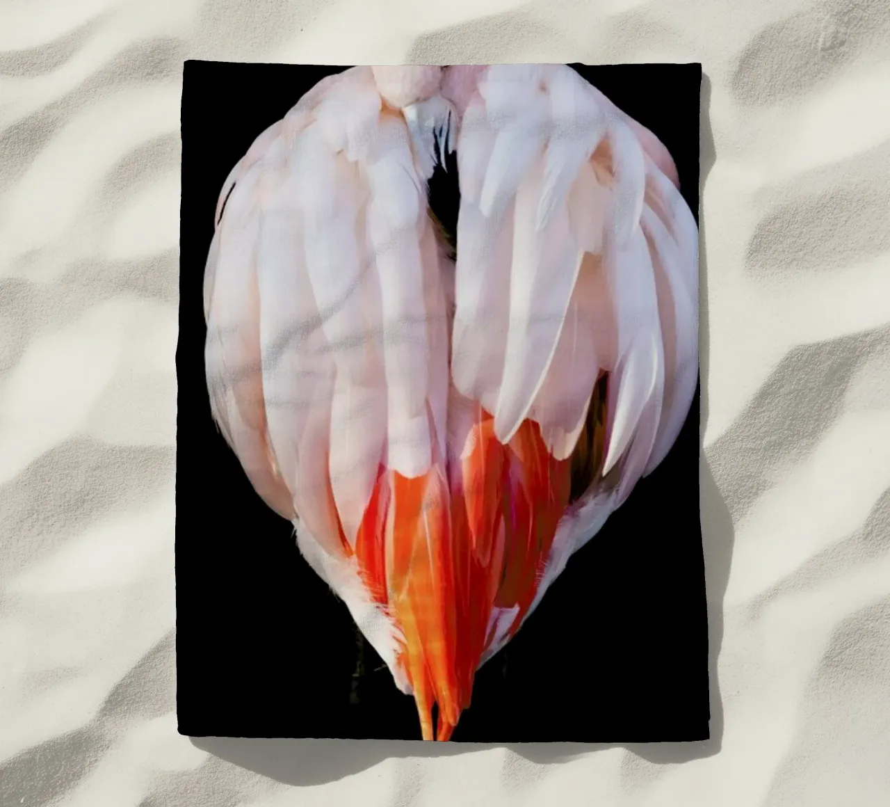 Flamingo in Reflection telo mare da Natural Kingdom