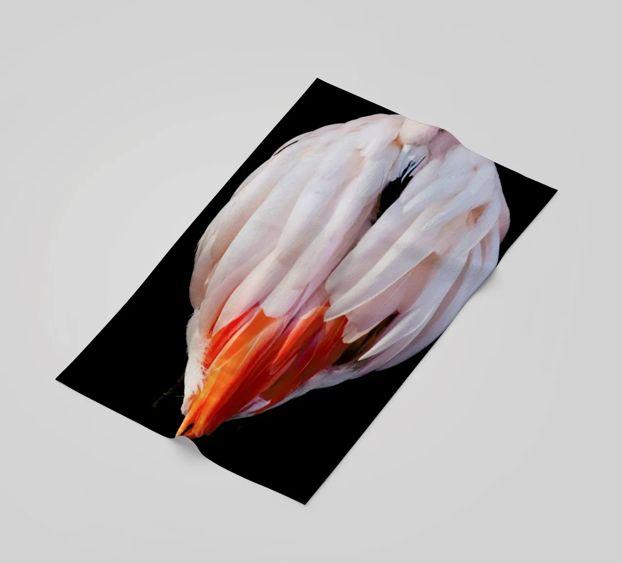 Flamingo in Reflection telo mare da Natural Kingdom