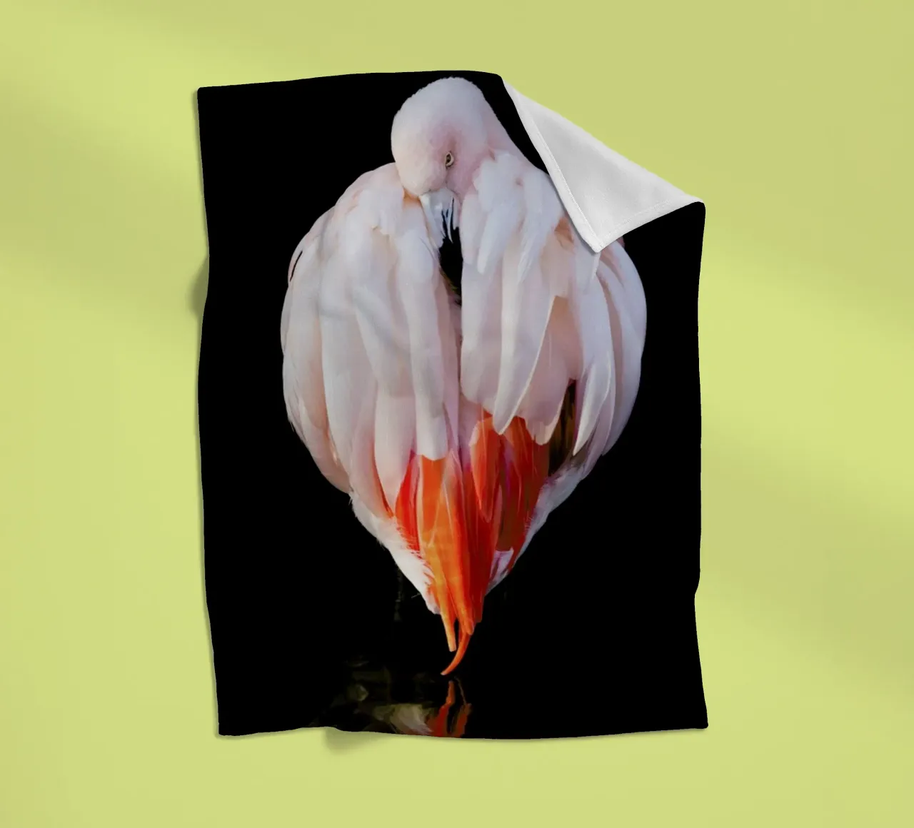 Flamingo in Reflection coperta in pile da Natural Kingdom