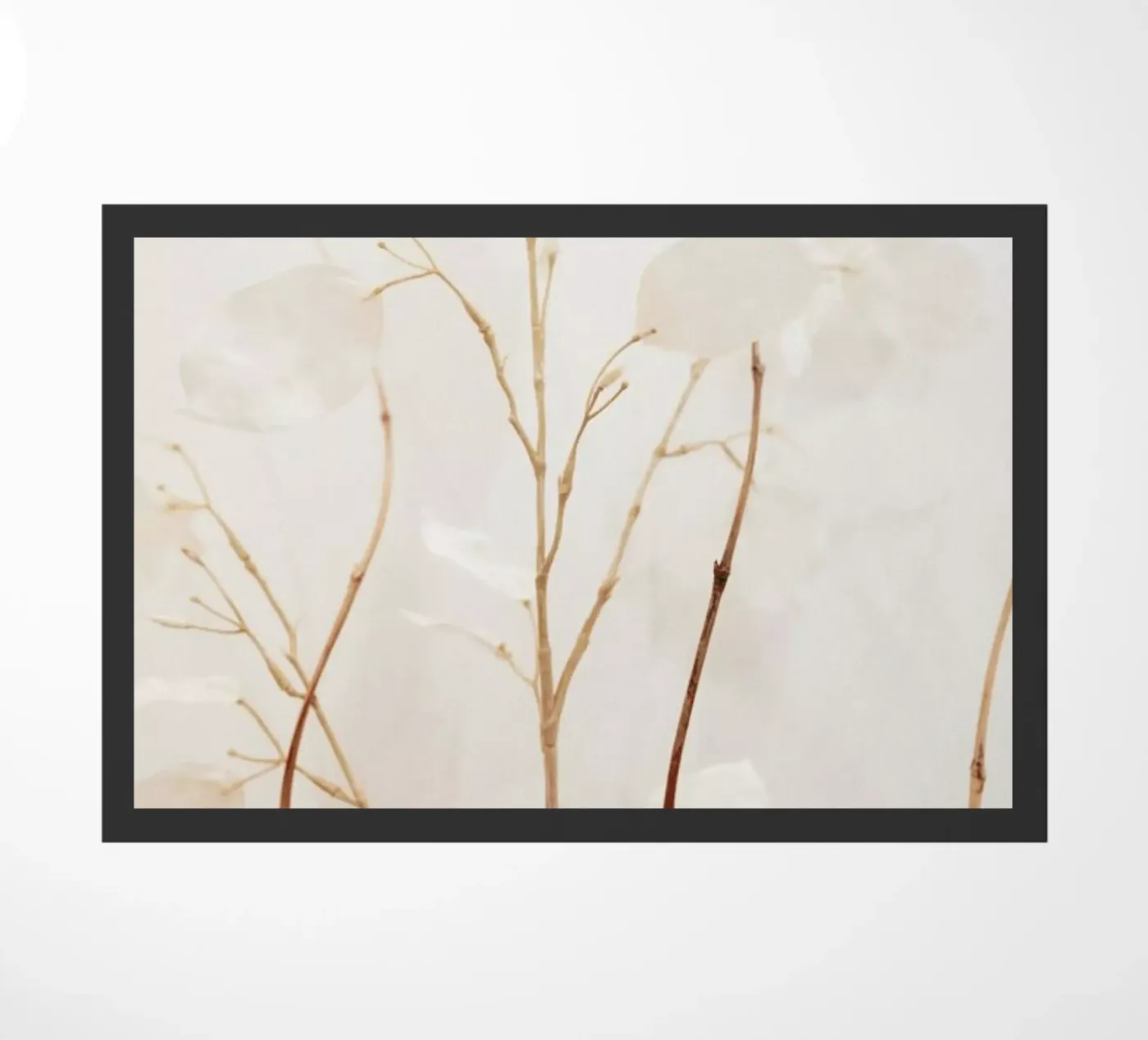 Abstract — Flowers zerbino da Sebastian Hilgetag