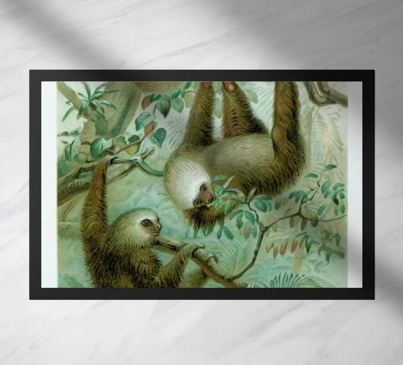 Sloths zerbino da Flora & Fauna