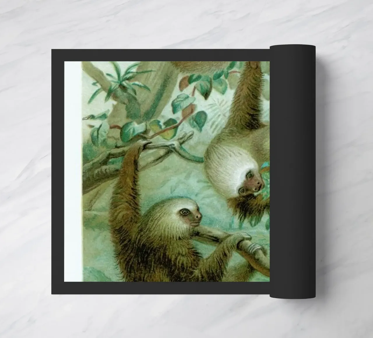 Sloths deurmat van Flora & Fauna