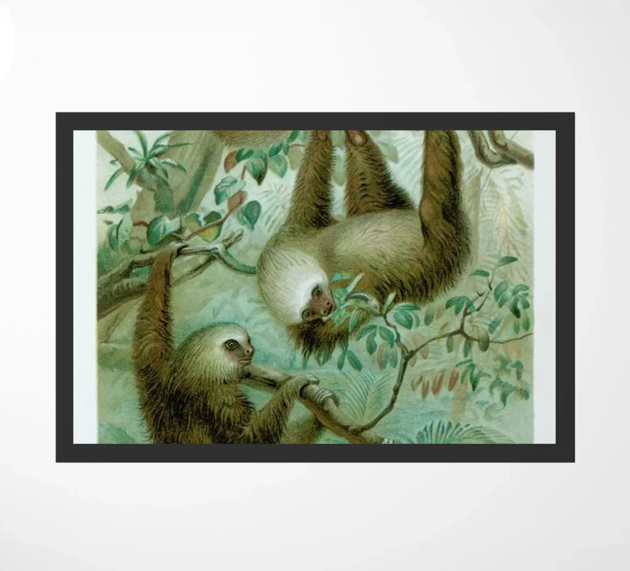 Sloths deurmat van Flora & Fauna
