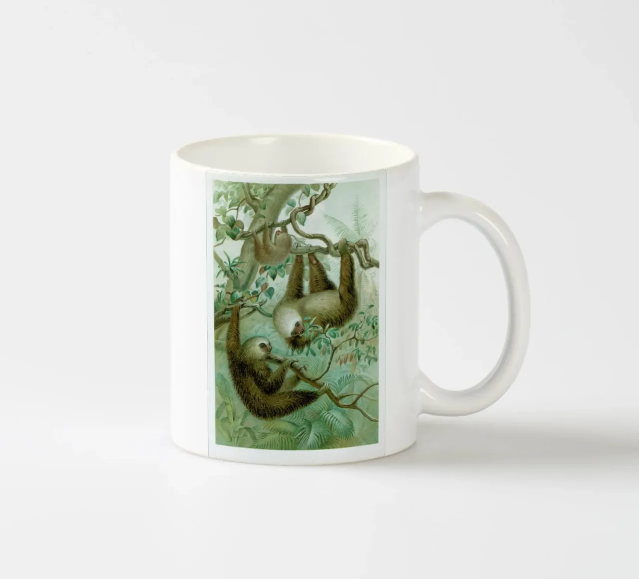 Sloths tazza in ceramica da Flora & Fauna