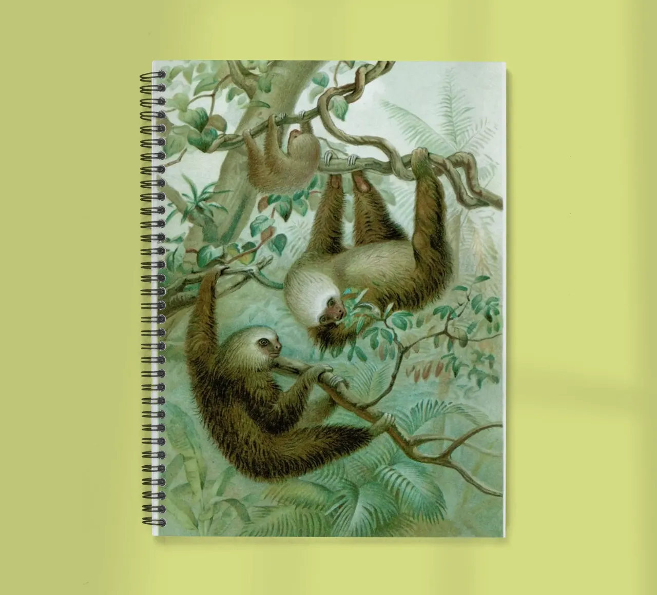 Sloths spiral notebook by Flora & Fauna