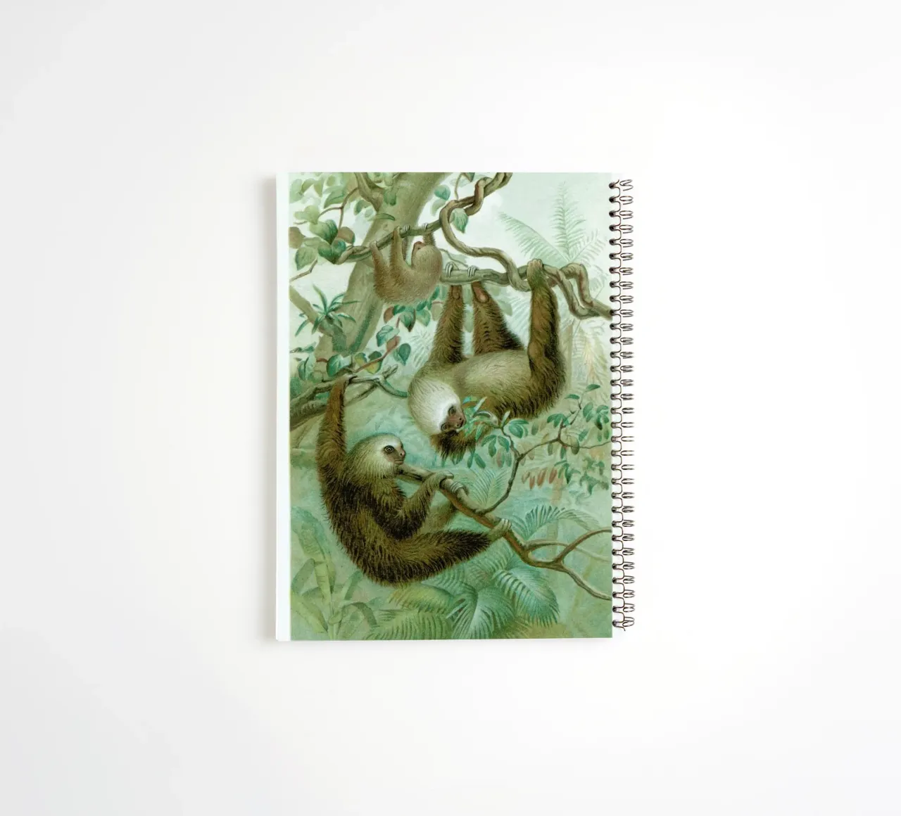 Sloths spiral notebook by Flora & Fauna