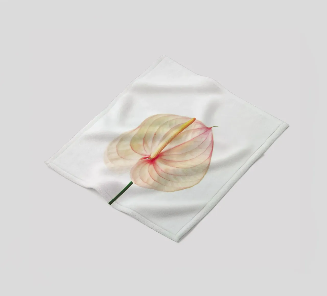 Giglio di Calla II coperta in pile da Cassia Beck Photography
