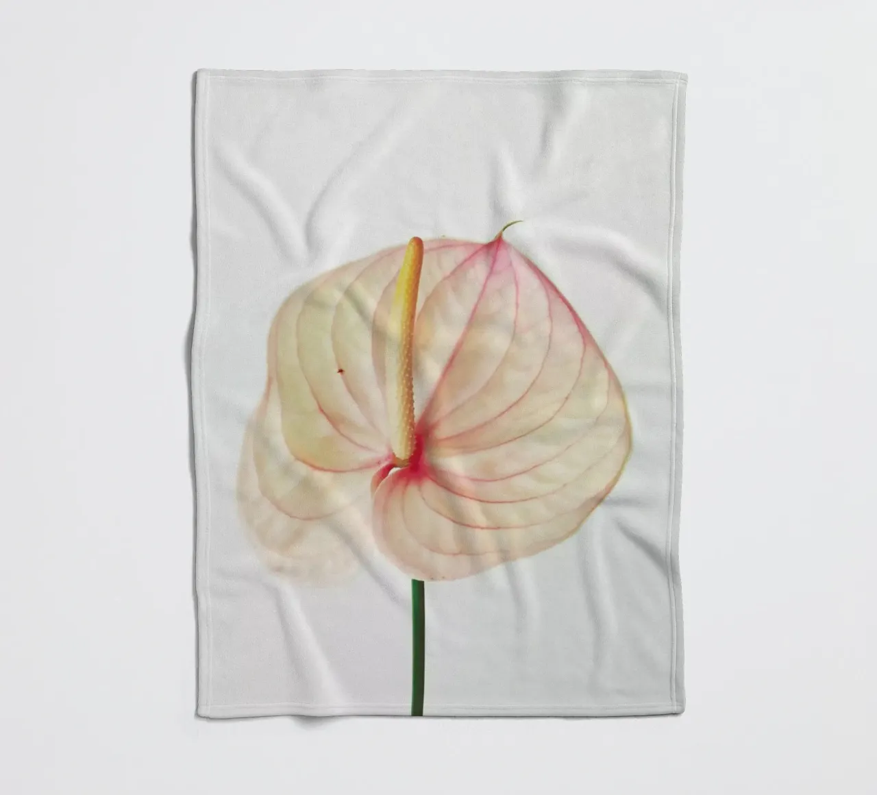 Giglio di Calla II coperta in pile da Cassia Beck Photography