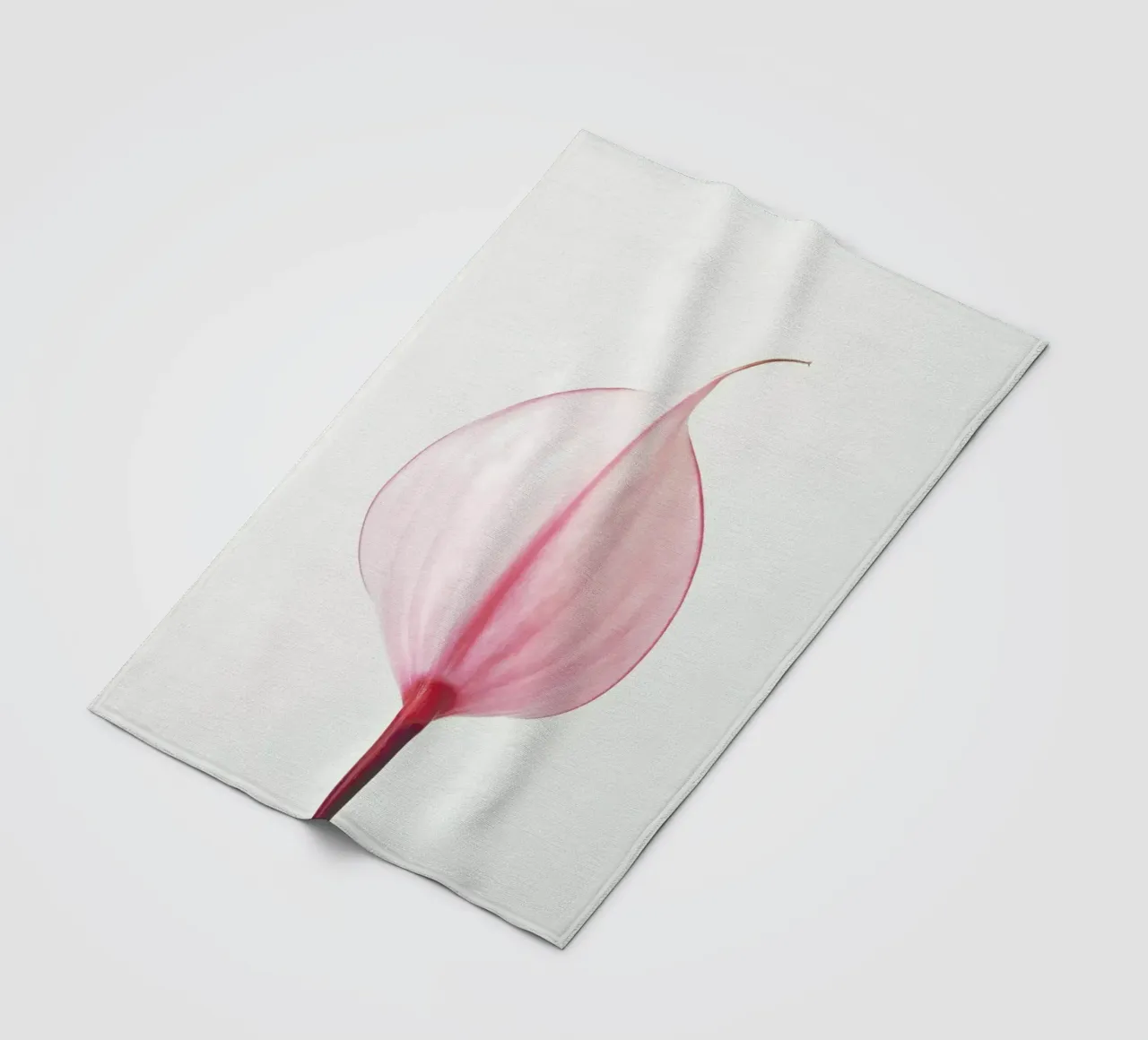 Pink Calla Lily II coperta in pile da Cassia Beck Photography