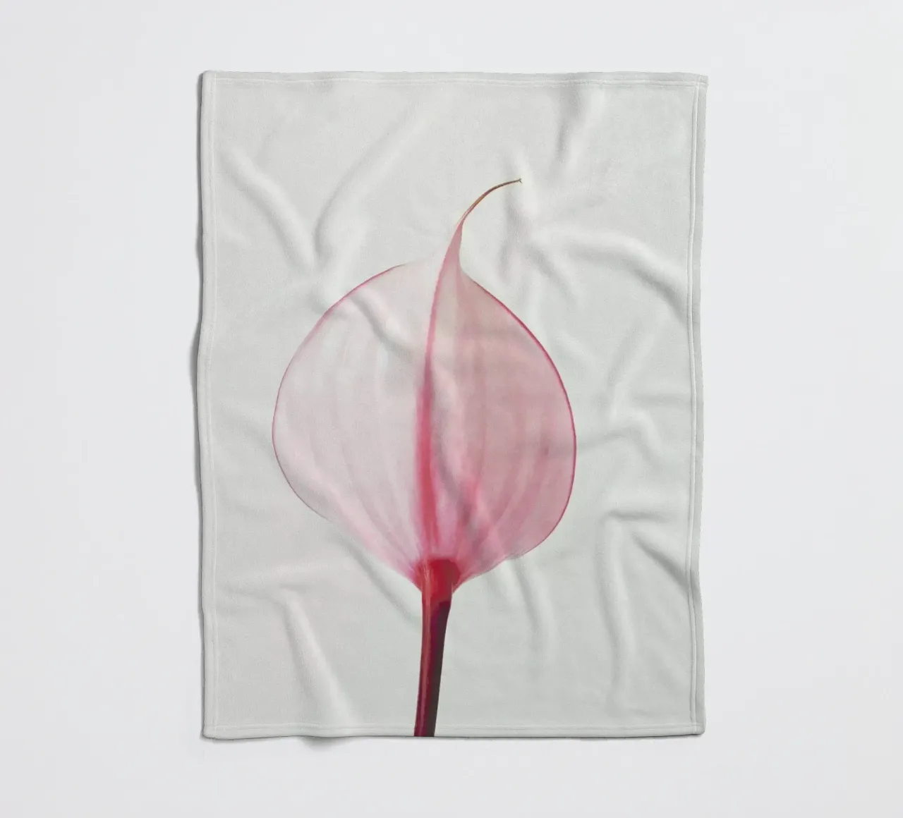 Pink Calla Lily II coperta in pile da Cassia Beck Photography