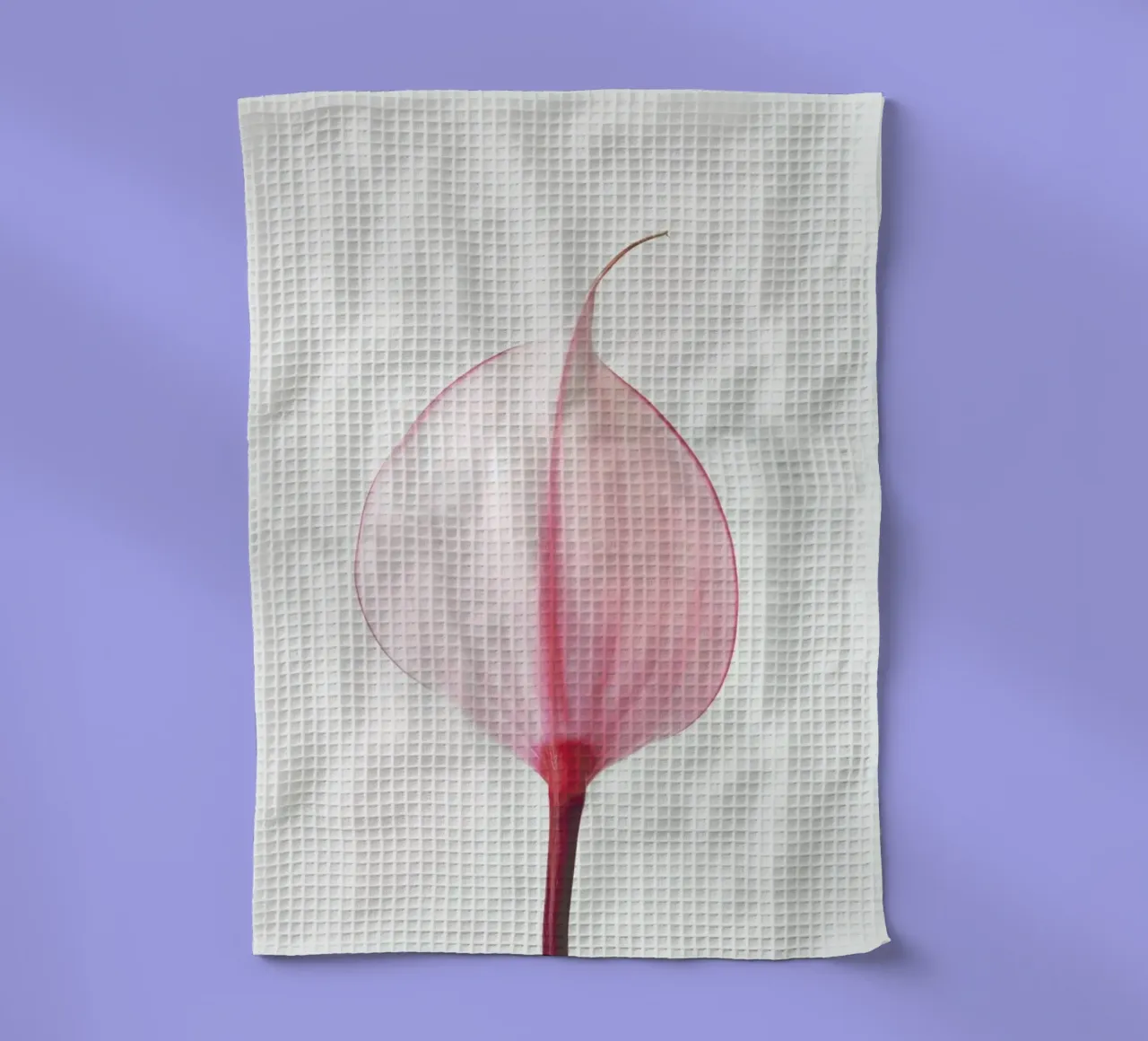 Pink Calla Lily II canovaccio da cucina da Cassia Beck Photography
