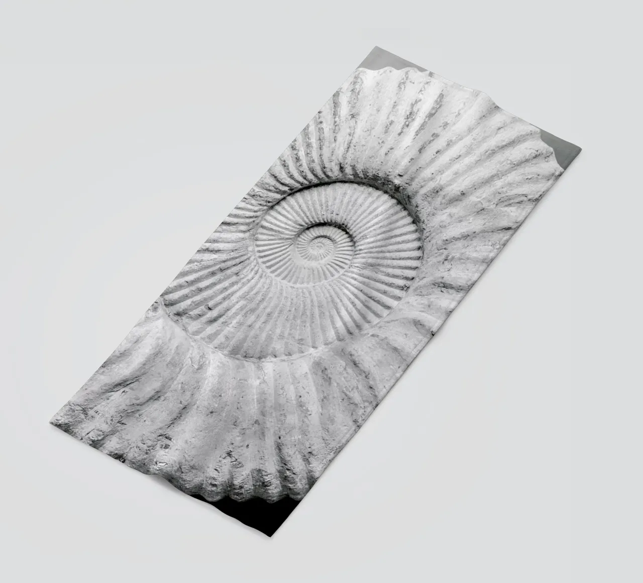 The Formula telo mare da Shot By Clint