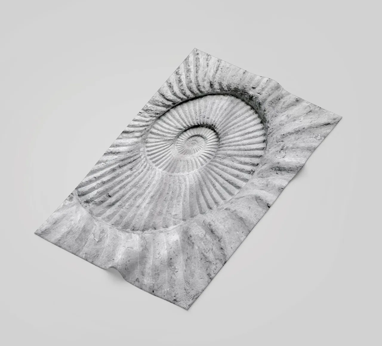 The Formula telo mare da Shot By Clint