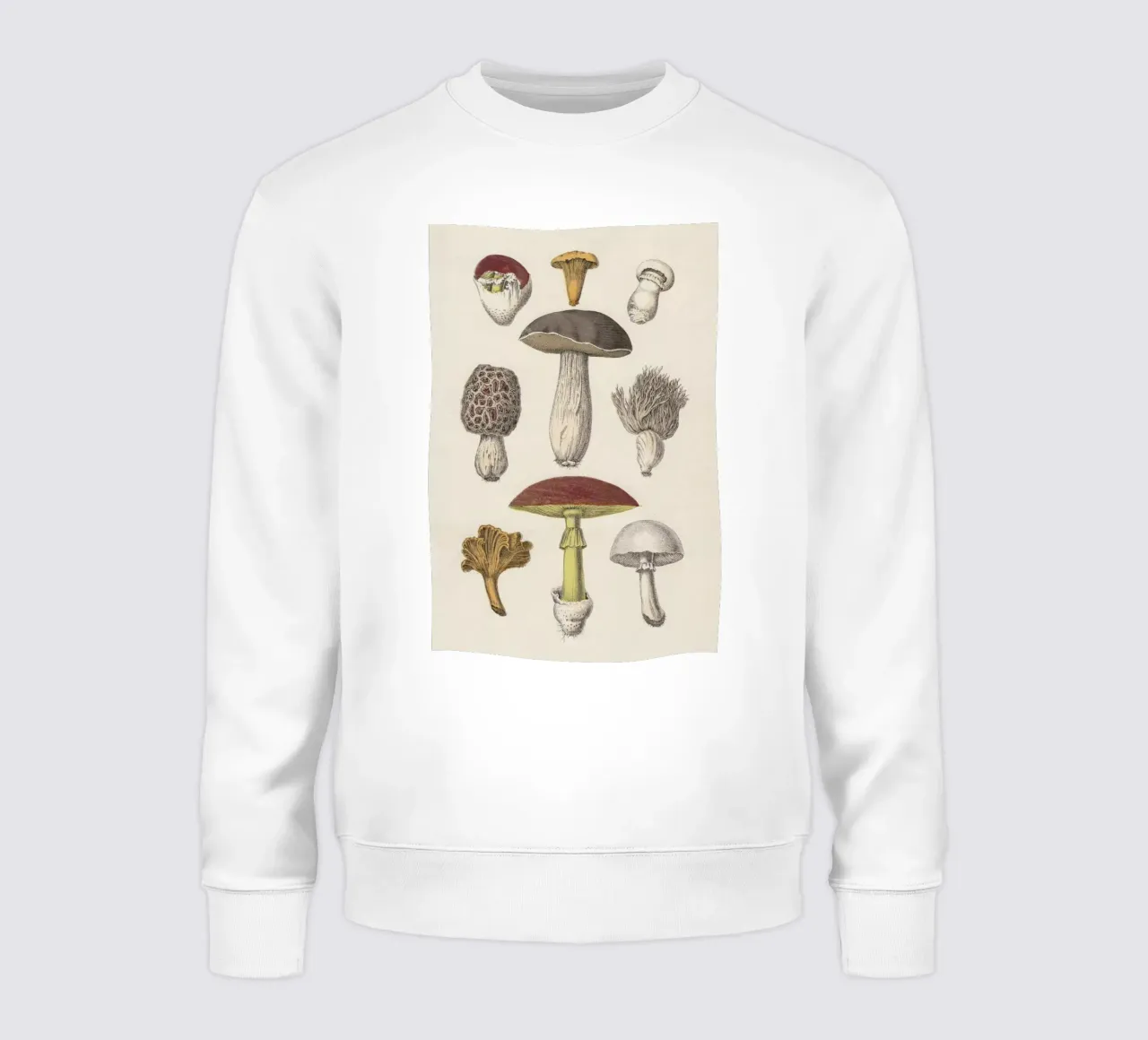 Fungi felpa da Flora & Fauna