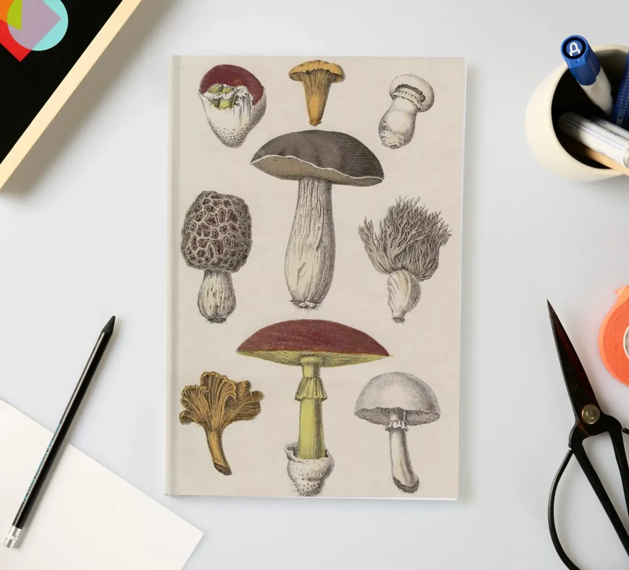 Fungi notebook by Flora & Fauna