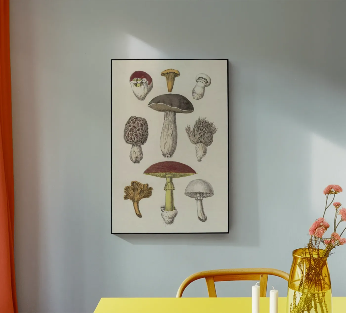 Fungi Acryl-Glas von Flora & Fauna