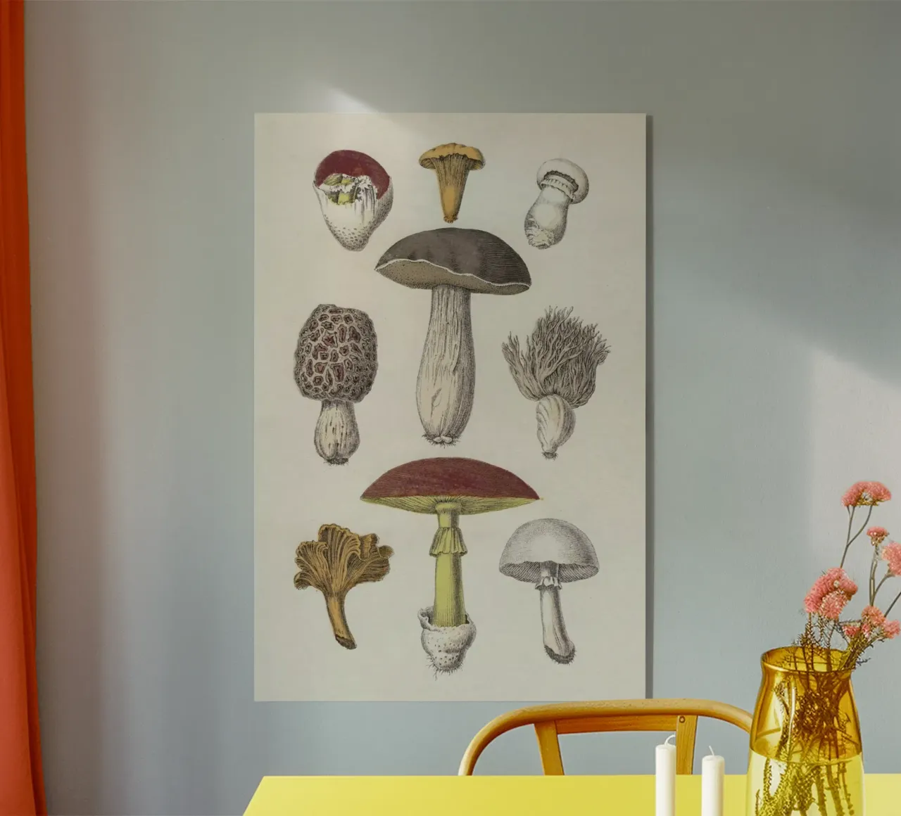 Fungi plexiglass da Flora & Fauna