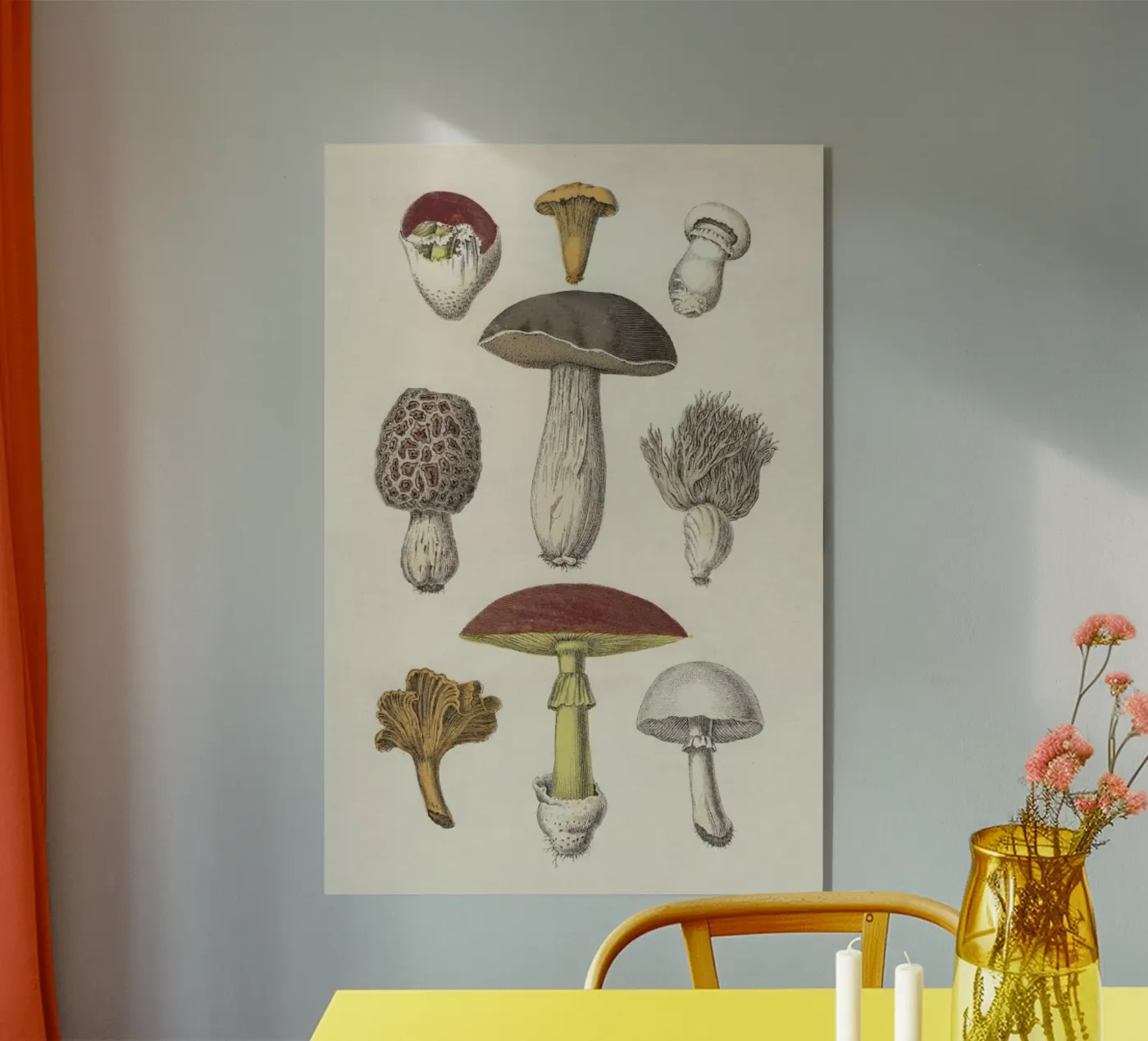 Fungi Acryl-Glas von Flora & Fauna