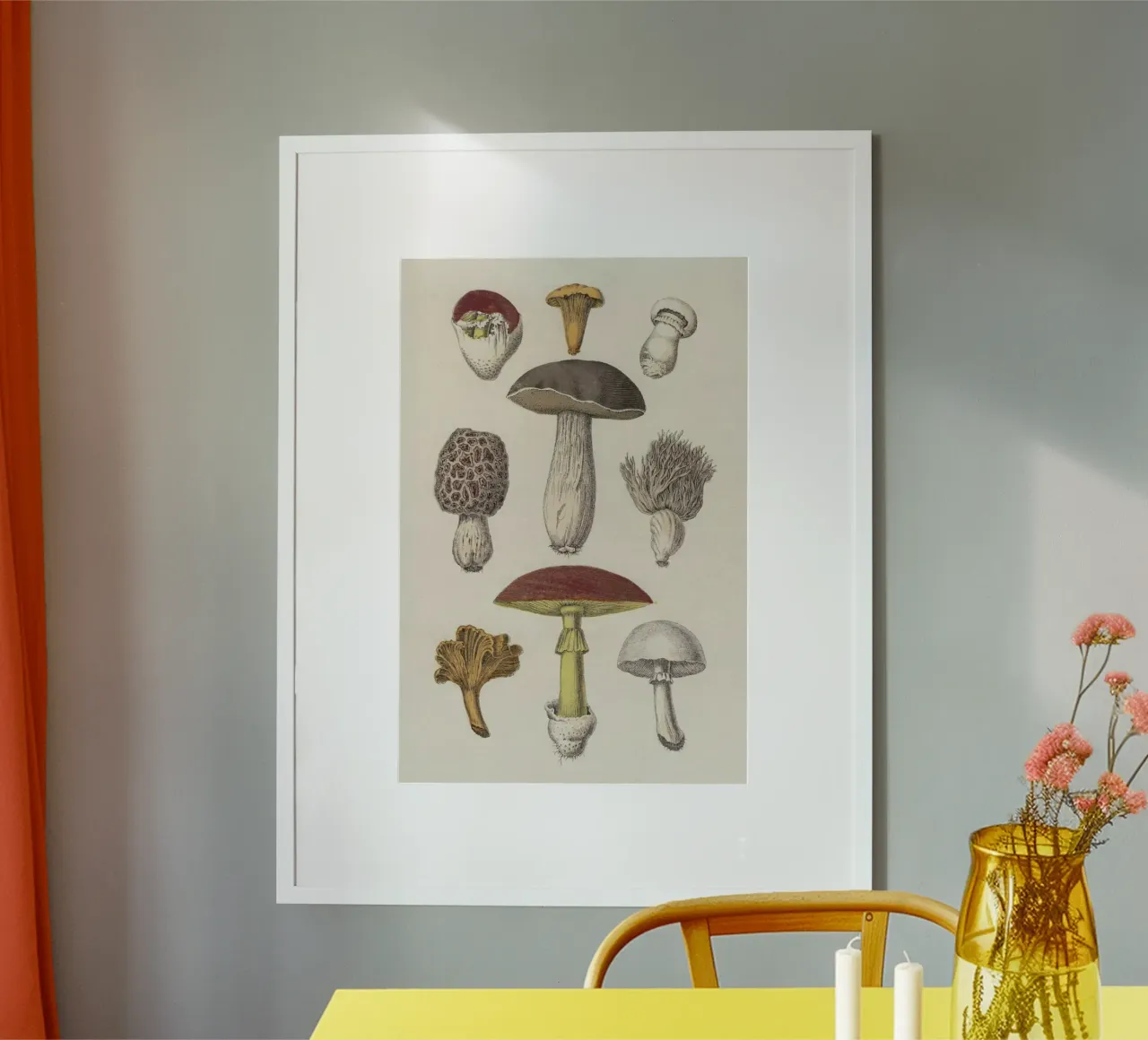 Fungi poster by Flora & Fauna