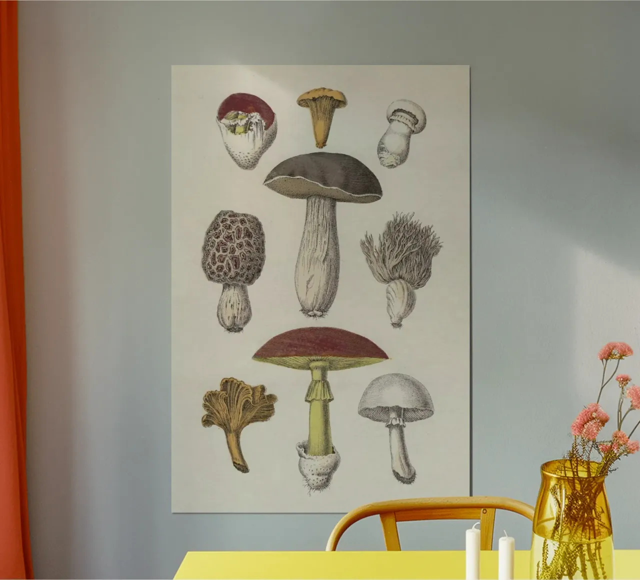 Fungi poster by Flora & Fauna