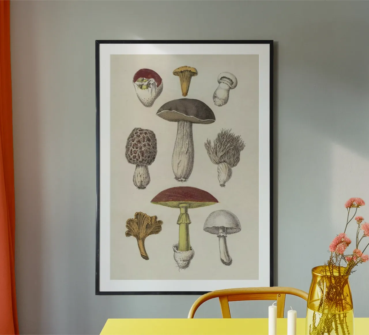 Fungi poster by Flora & Fauna
