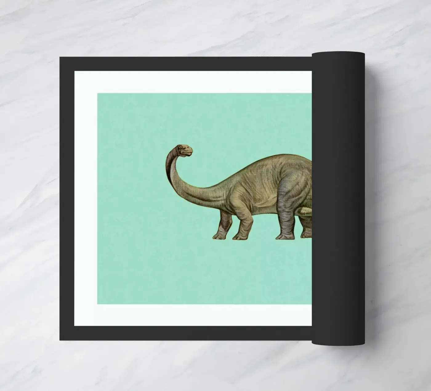 Diplodocus zerbino da Flora & Fauna