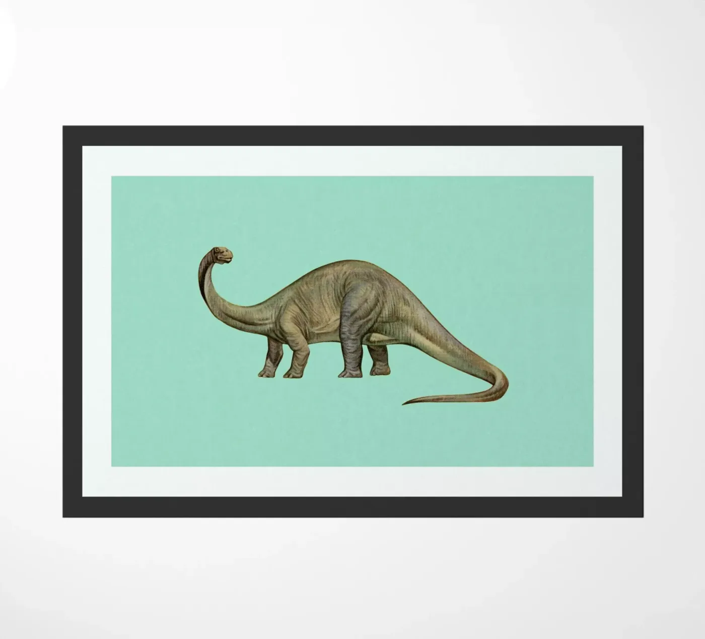 Diplodocus zerbino da Flora & Fauna