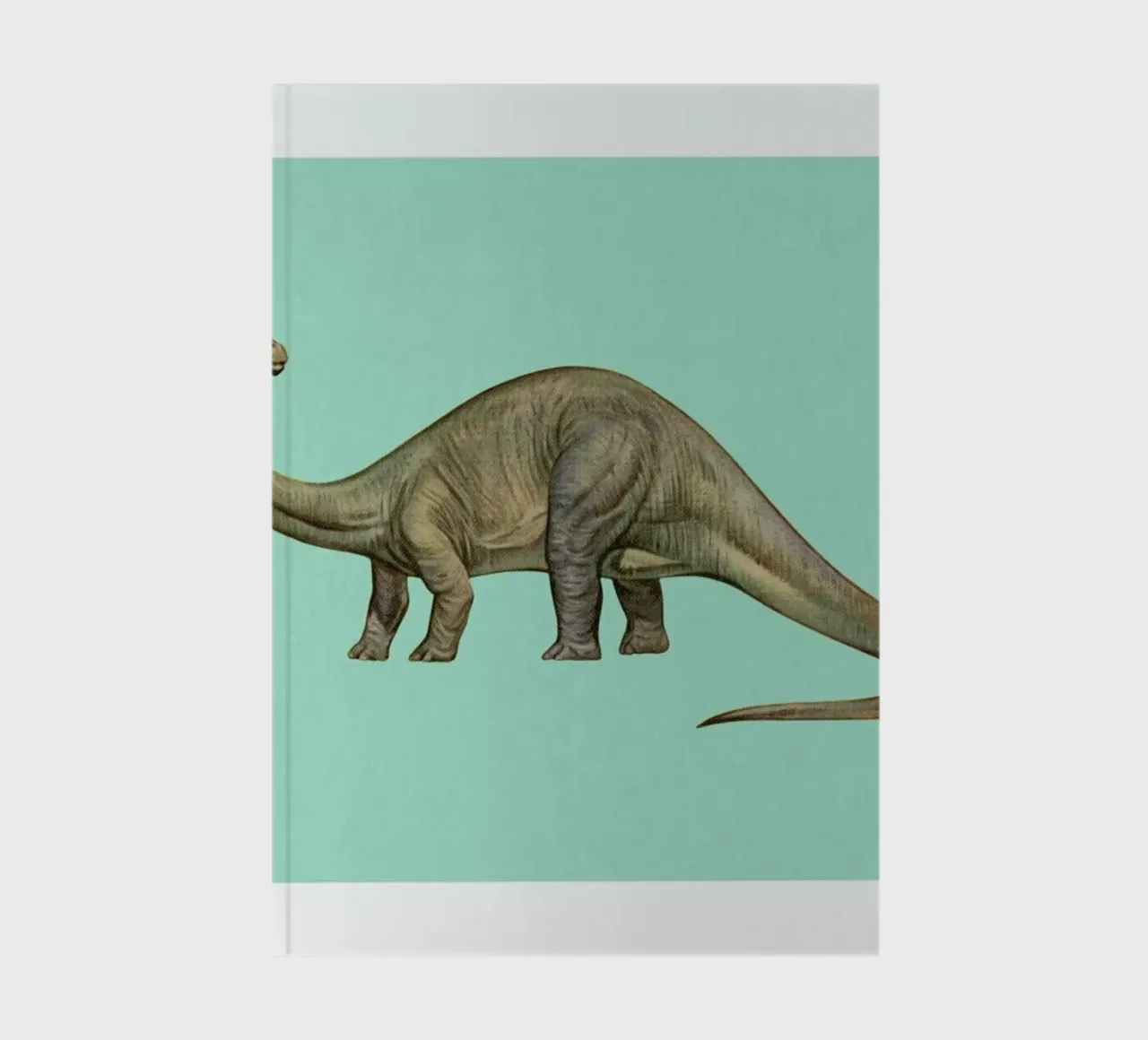 Diplodocus notebook by Flora & Fauna