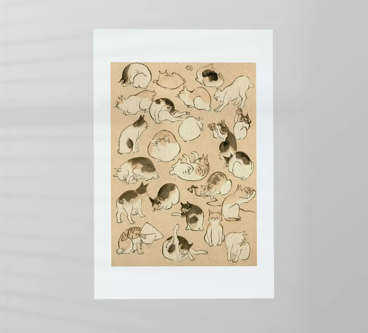 Cats pellicola backlit da Flora & Fauna