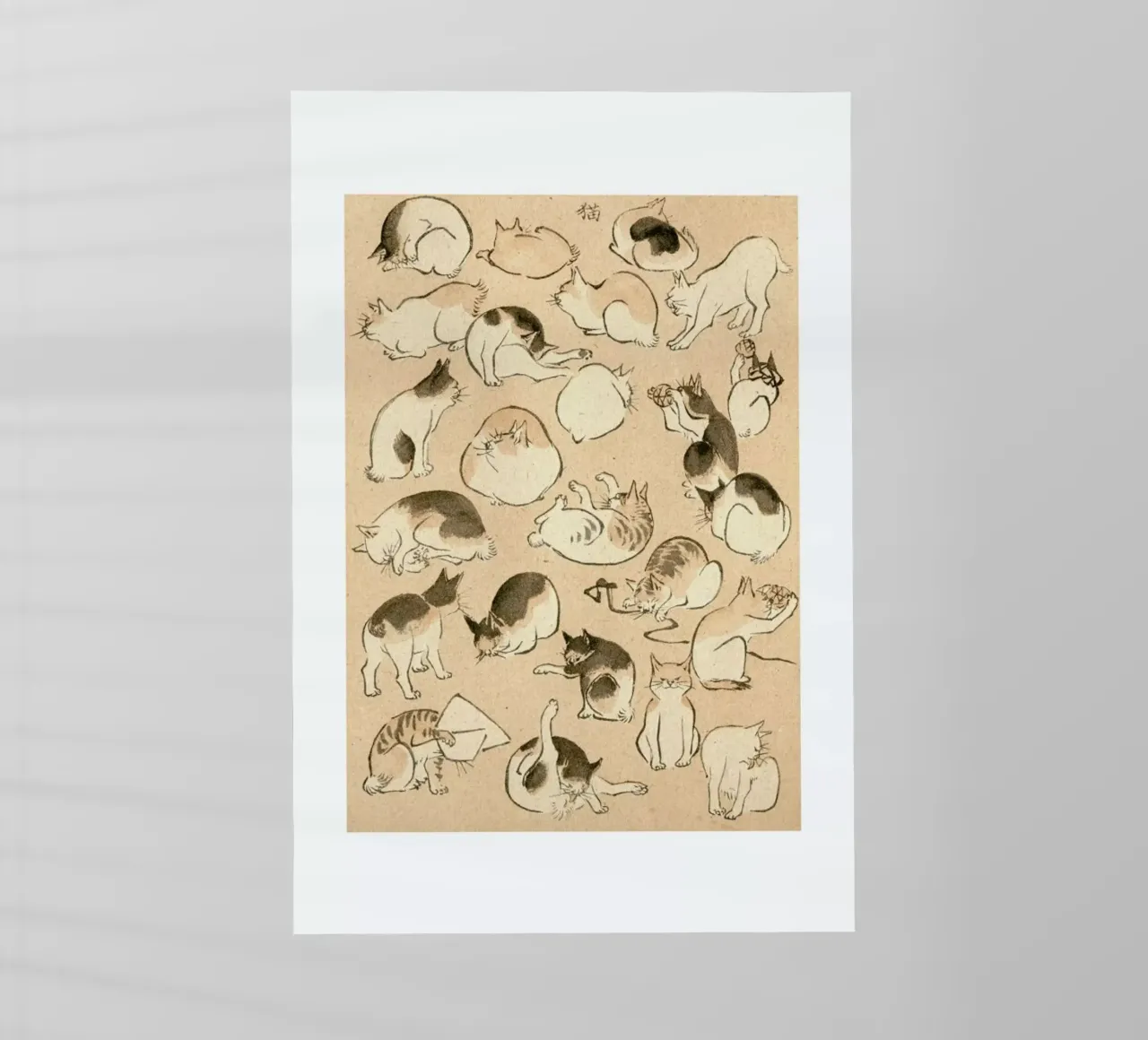 Cats pellicola backlit da Flora & Fauna