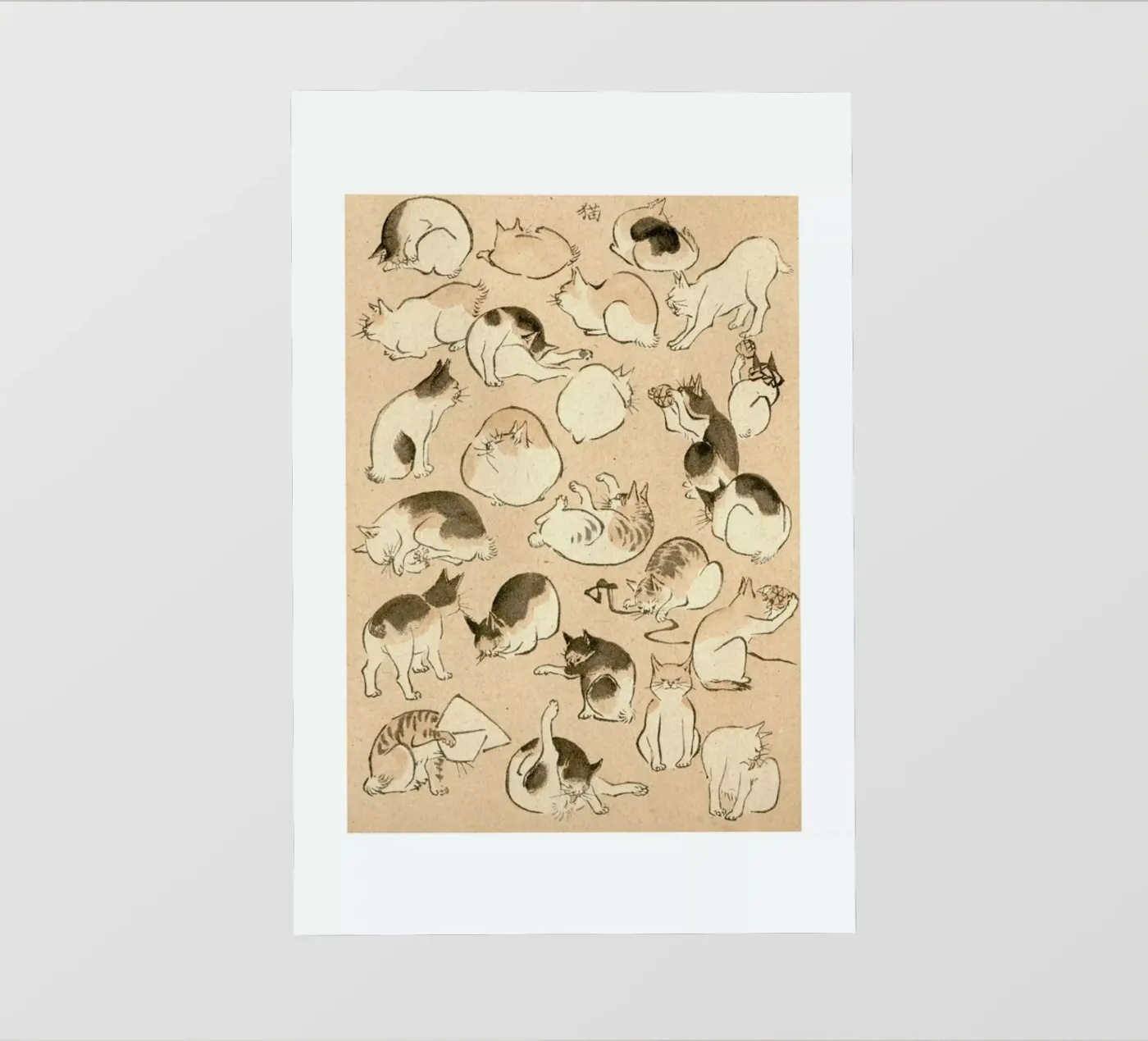 Cats pellicola backlit da Flora & Fauna