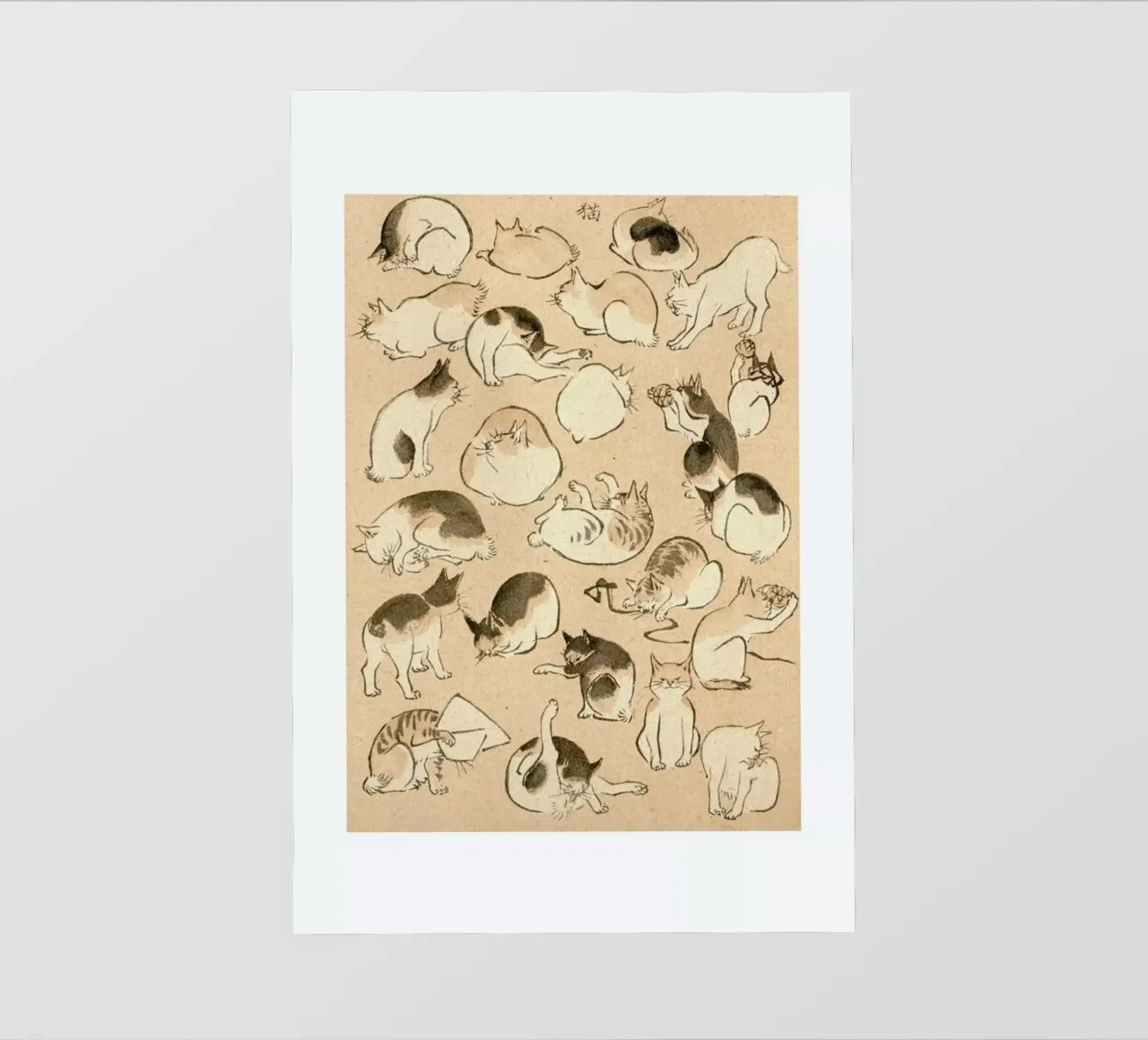 Cats pellicola backlit da Flora & Fauna