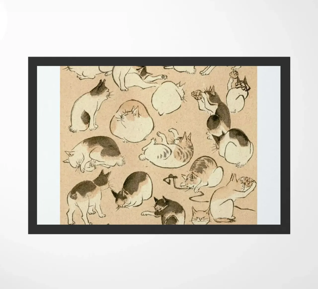 Cats zerbino da Flora & Fauna