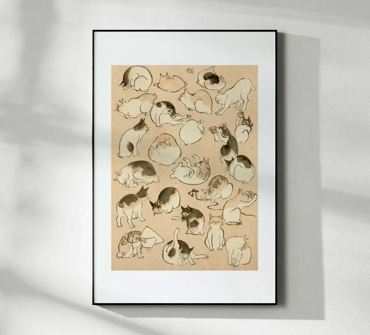 Cats plexiglass da Flora & Fauna