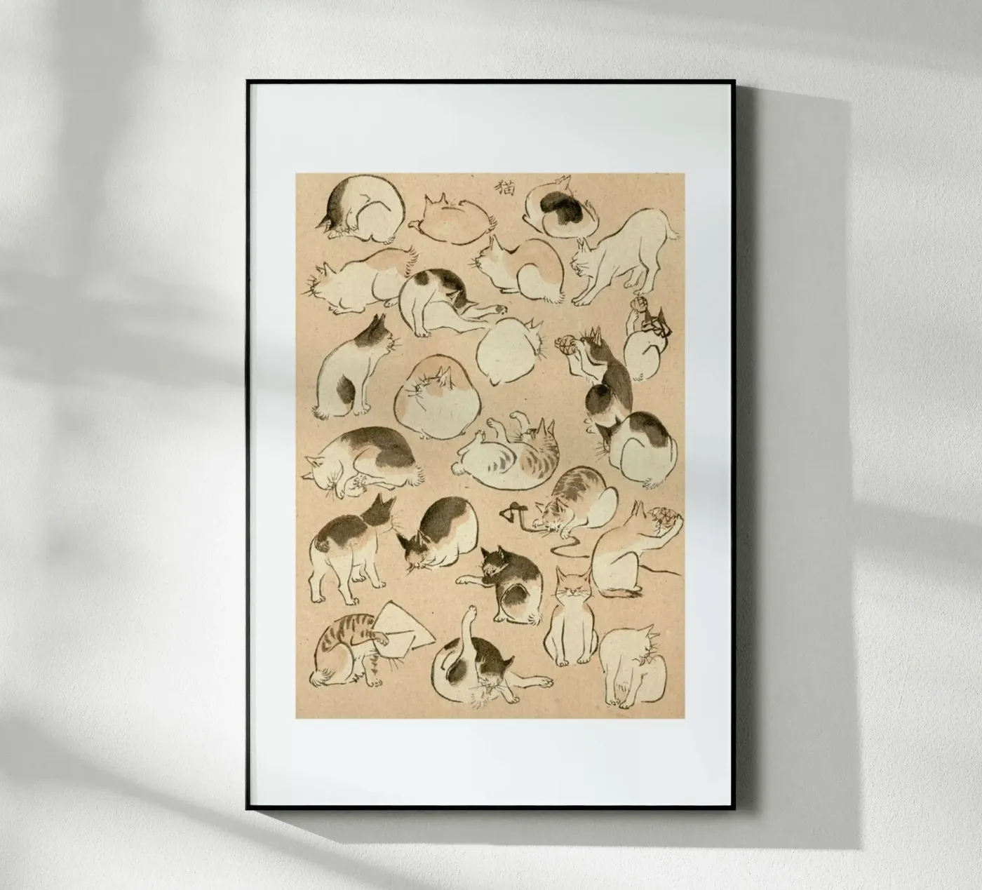 Cats plexiglas de Flora & Fauna