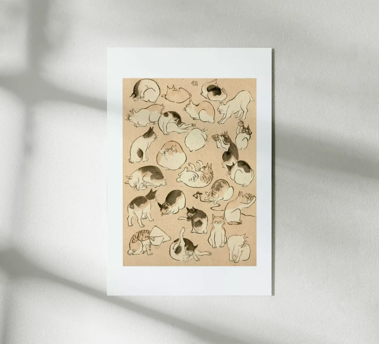 Cats plexiglass da Flora & Fauna