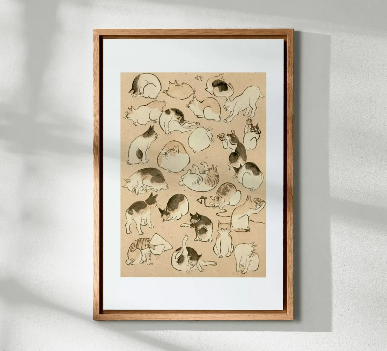 Cats tela da Flora & Fauna