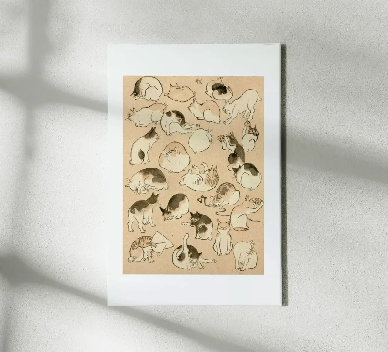 Cats tela da Flora & Fauna