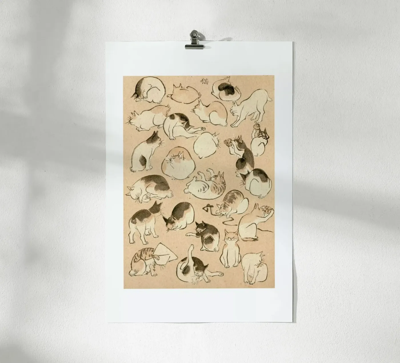 Cats Poster von Flora & Fauna