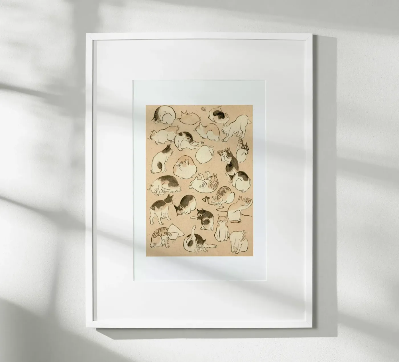 Cats Poster von Flora & Fauna