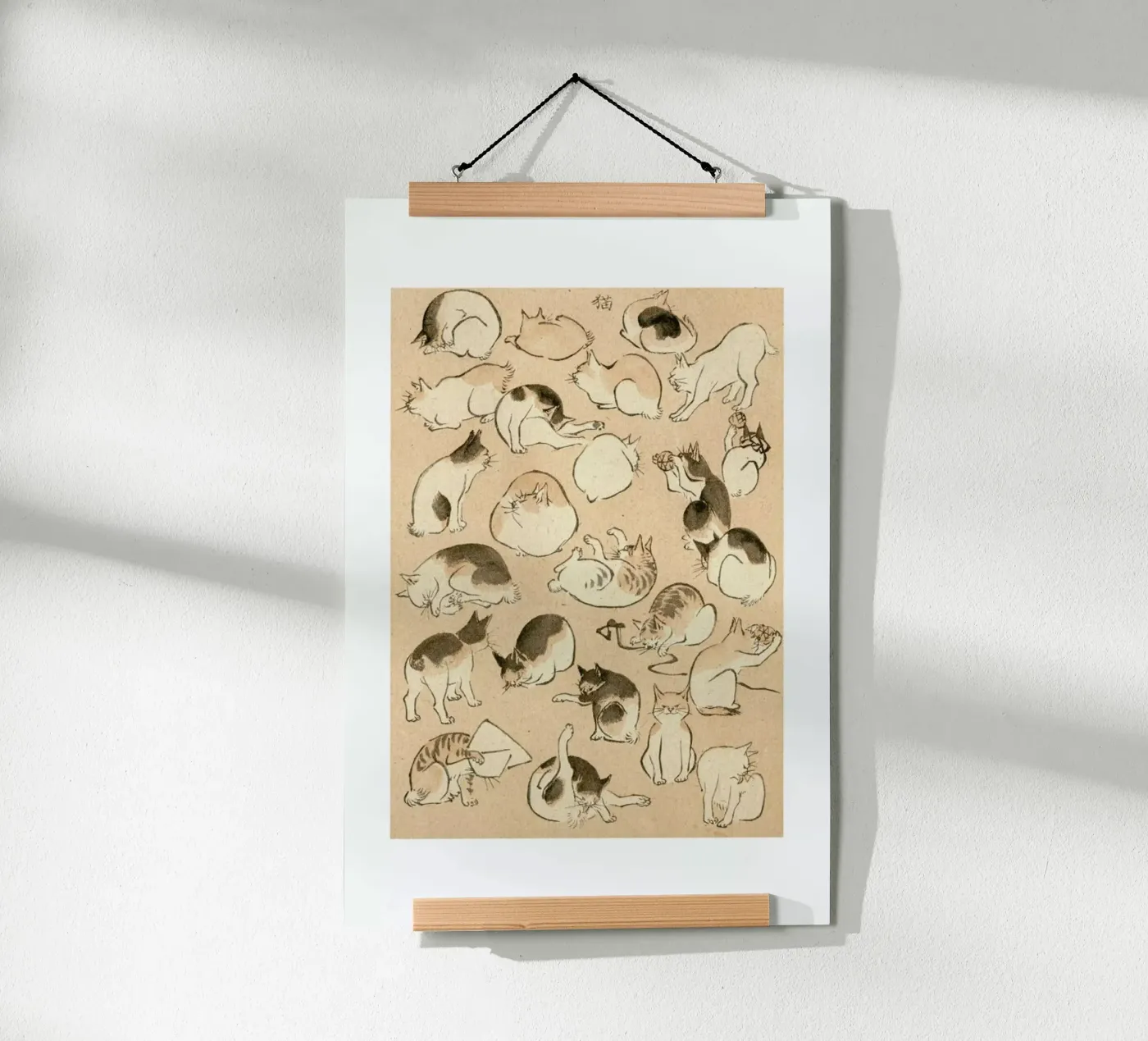 Cats Poster von Flora & Fauna