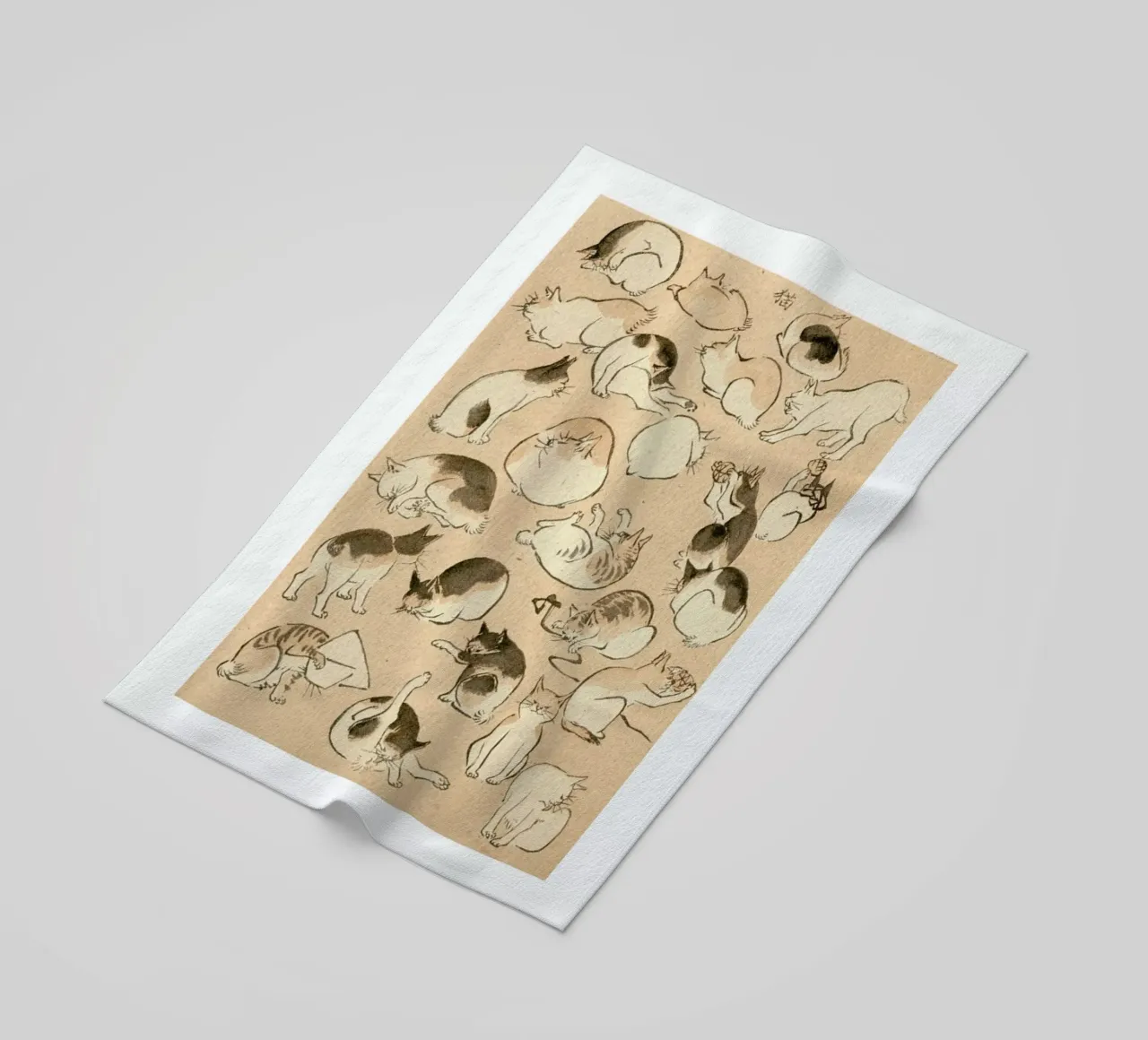 Cats telo mare da Flora & Fauna