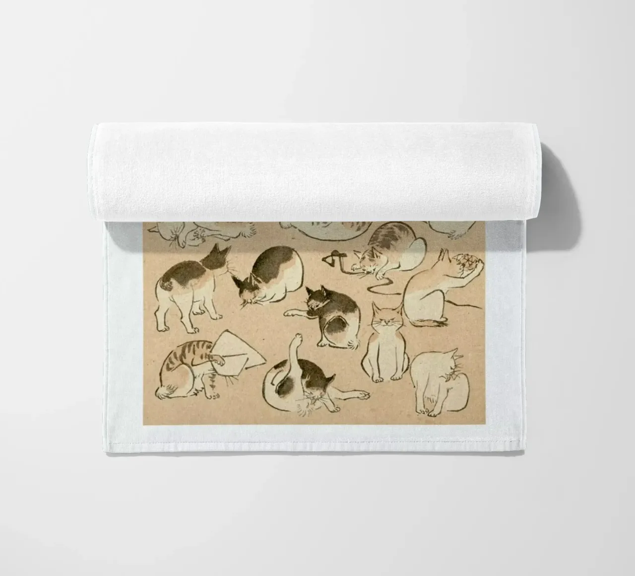 Cats telo mare da Flora & Fauna