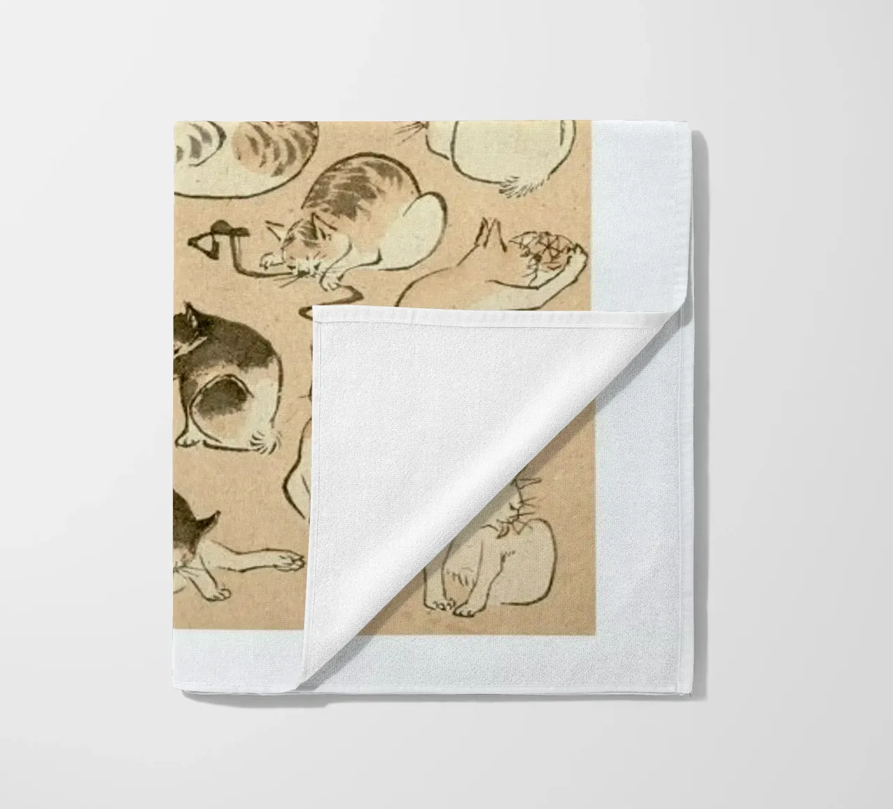 Cats telo mare da Flora & Fauna