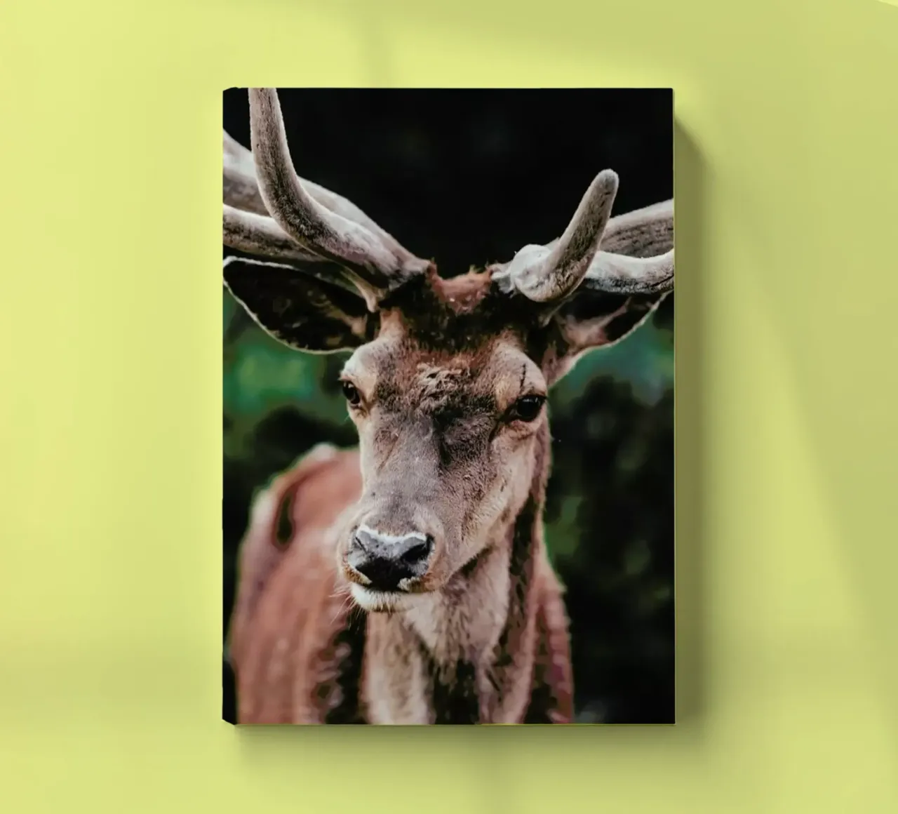Ancient Realms @Anna notebook by EyeEm Mobile GmbH