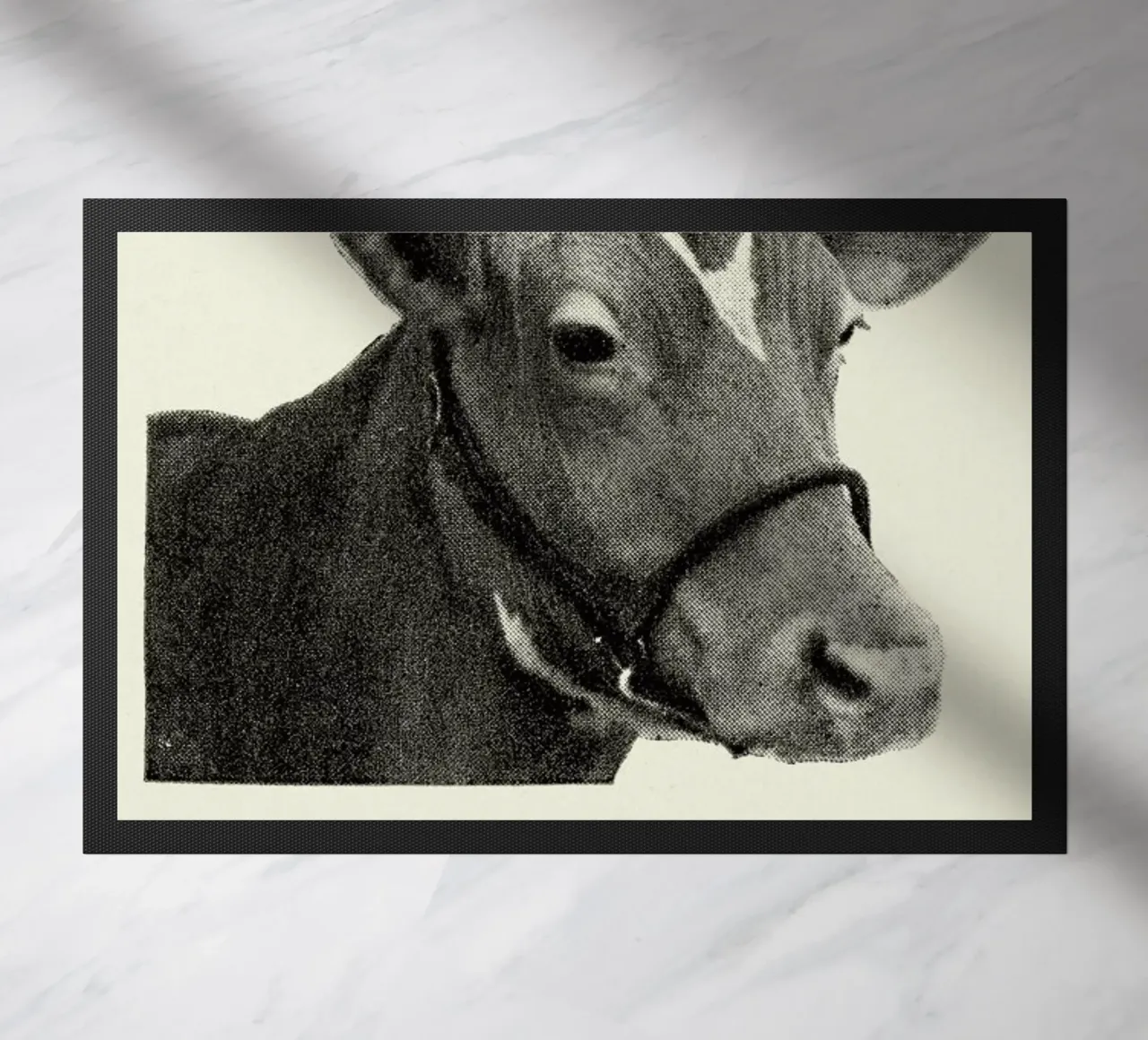 First Lady zerbino da Flora & Fauna